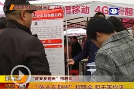 回家就业好 “就业在荆州”返乡人才招聘会等你来图片