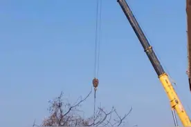 安徽泗县城管开挖掘机埋垃圾滑入深水区，50小时后打捞上岸图片
