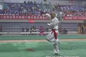 2012年全国传统武术比赛暨农民武术比赛，九节鞭精彩表演图片