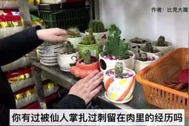 肉被刺扎，痛苦难当，只需三步，轻松去刺