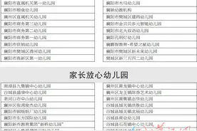 襄阳首届“十佳幼儿园”暨“家长放心幼儿园”出炉图片
