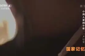 一声春雷唤醒大地！小岗人家的四十年视频封面