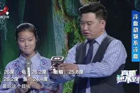冷血动物并不冷血，温枪测试温顺金鱼竟然是冷血动物