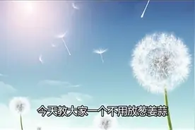 不吃葱姜蒜的福音，放入这个，不用葱姜蒜也能炒出美味小菜！视频封面