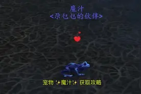经典宠物✨魔汁✨地点:东部王国的幽魂之地，祖阿曼副本内。“不是应该你变回王子的嘛”#魔兽世界 #魔兽视频封面