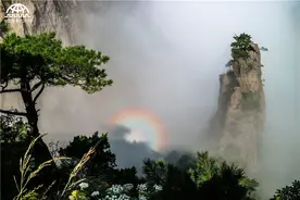 黄山惊现神奇的自然奇观——“佛光”图片