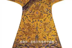 果郡王穿过的？大叔拿一龙袍鉴定，专家看后脸色变了：祖上何人视频封面