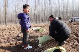 孙子帮爷爷要工资，这样向老板提条件，老板爽快答应，逗乐农民工视频封面