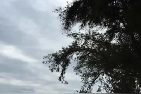 陪我一起去看海图片