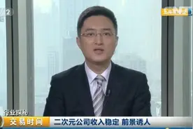 央视解读二次元概念 评国漫产业：缺乏高质量内容但空间巨大图片