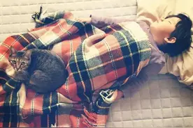 守护在小男孩身边的喵星人，好有爱！图片