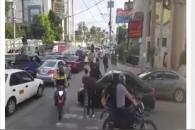 看看开车压斑马线的后果视频封面