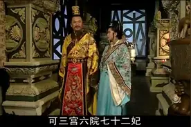 皇上专宠怀有龙种的妃子，妃子却劝皇上要雨露均沾视频封面