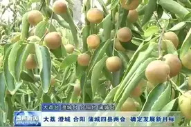 大荔 澄城 合阳 蒲城四县两会 确定发展新目标视频封面