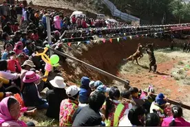 我在寻甸过大年之：甸沙斗牛斗马图片