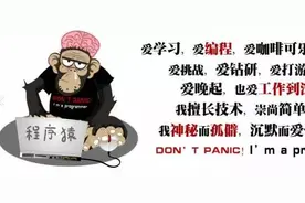 千万不要嫁给程序员x3，我是认真脸！图片