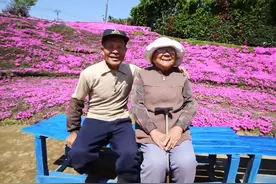 日本老人为盲妻种植漫山鲜花，年度最虐狗啊！图片