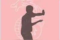 真实“降龙十八掌”各招式及学习方法图片