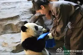 长隆半价 | 细数长隆里的女神之饲养员篇图片