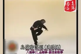李书文八极拳金刚八式 第四式 连环捶（五）视频封面