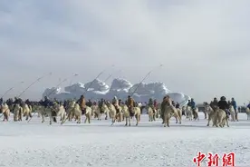 成吉思汗白马听过没？曾是宫廷专属御马图片