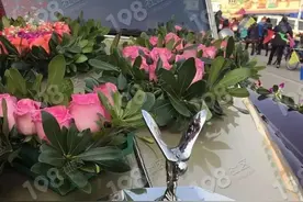 谢塘惊现霸气豪车做婚车！这样壕气十足的婚礼你羡慕吗？图片