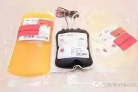 血液百科来看看血液的组成图片