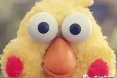 寒假开始啦！这篇寒假亲子游攻略，带你和孩子玩转三明！图片