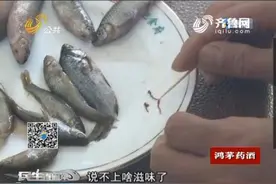 莱芜市民“小杂鱼”里吃出红虫 商厦答复吃了无害图片
