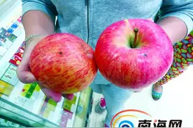 吃了“针眼”苹果海口母女腹泻 食药监部门：是腐烂斑点图片
