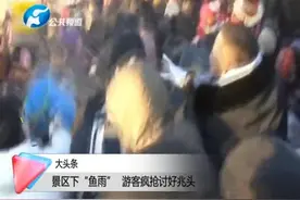 景区下“鱼雨” 游客疯抢讨好兆头！视频封面