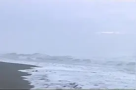 陈雅森-亲爱的爸爸妈妈我想你了