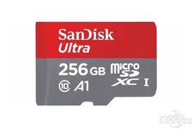 256GB固态U盘和A1规格TF卡？闪迪CES新品够潮流图片