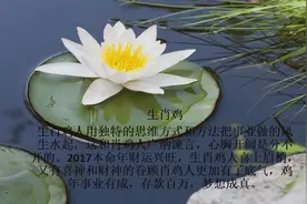 3大属相鸡年存款百万，喜神财神眷顾，要钱有钱要权有权视频封面