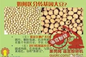 还在“以貌取人”分辨转基因食品？太不科学了！图片