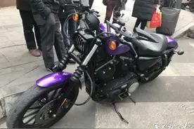 8万元买二手无牌哈雷 街头“拉轰”遭逮图片
