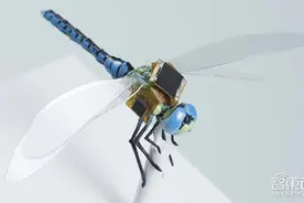 融合生物与科技 新一代昆虫无人机成型图片