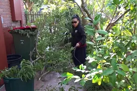 全能的土豪泰国喜剧姐，做饭擦窗摘过剪枝样样自己来视频封面