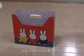 实验表明猫果然是液体做的！不然怎么钻得进盒子瓶子里去呢？视频封面