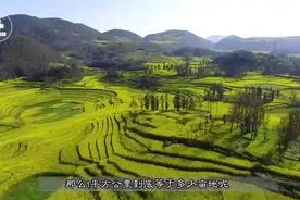 一平方公里的土地，等于多少亩地？视频封面