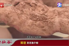 太妙！食用“灵芝孢子粉”，具有增强免疫力降血压血糖等功效视频封面
