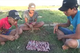 柬埔寨小伙野外制作美食，几十只烤老鼠一次吃个爽视频封面