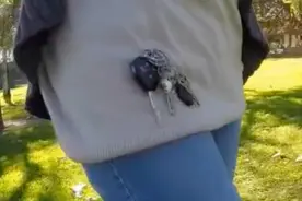 神奇的钥匙扣，居然没有钥匙孔，究竟是怎样挂钥匙的？视频封面