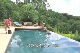 用零下200度的液氮将鱼冻僵后，放水中解冻竟还能活过来！视频封面
