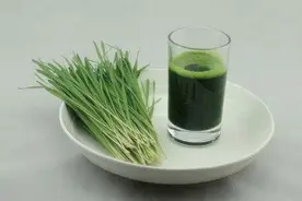 小麦草汁吃了能排毒防癌？