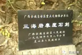 话说老钦州（五十五）灵山三海岩崖刻图片