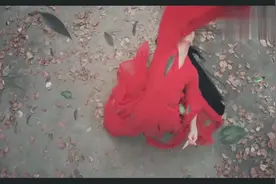 古装美女群像配上《九张机》感觉超棒：寻寻觅觅，醉生梦死又一世视频封面