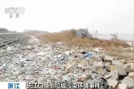 长江口倾倒垃圾污染环境事件：25名犯罪嫌疑人被捕图片