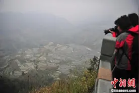 大雾中的云南元阳梯田图片