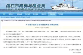 湛江通报潜水员疑似非法捕捞鲸鲨：事发三亚附近海域图片